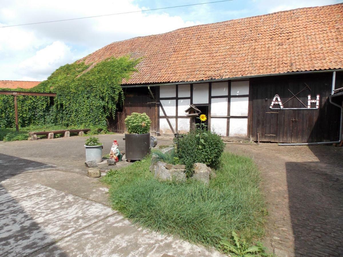 Pension Hoffmann Trebra Exterior photo